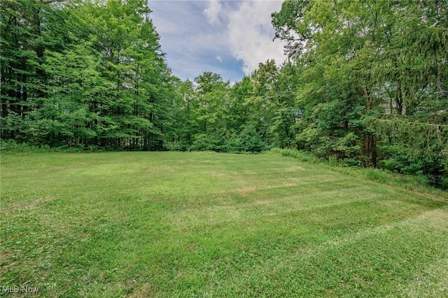 9500 Prell Dr, Broadview Heights, OH 44147 - photo 41