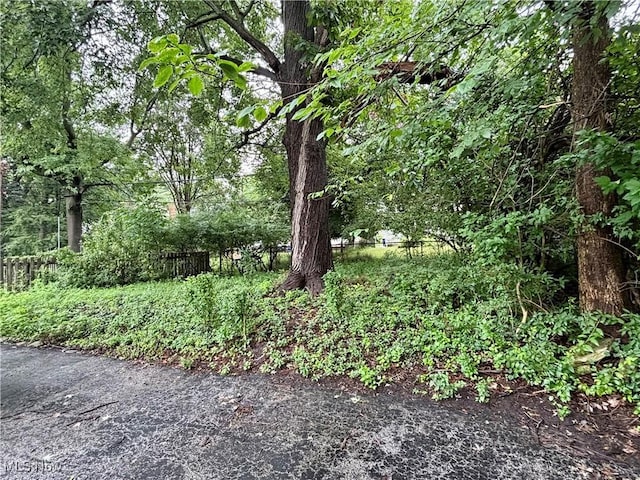 2311 S Belvoir Blvd, University Heights, OH 44118 - photo 26