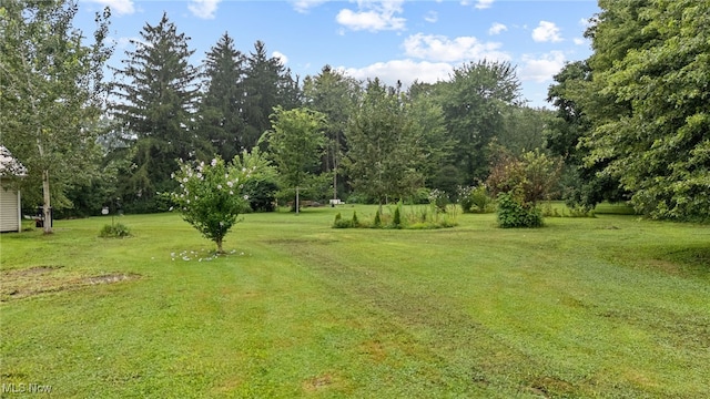 10228 Beloit Snodes Rd, Beloit, OH 44609 - photo 6