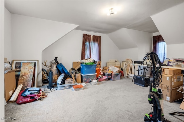 10228 Beloit Snodes Rd, Beloit, OH 44609 - photo 24