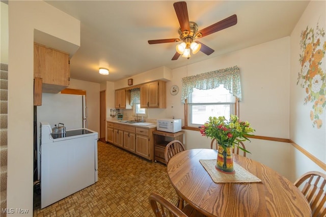 20470 Trebec Blvd, Euclid, OH 44119 - photo 6