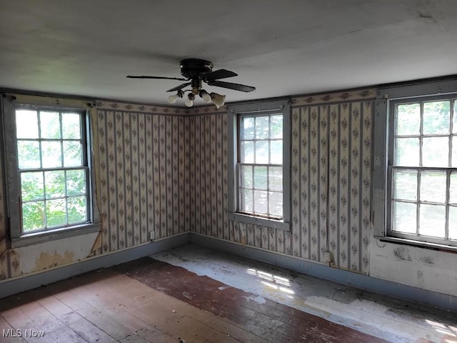 14 Ridge St N, Monroeville, OH 44847 - photo 19
