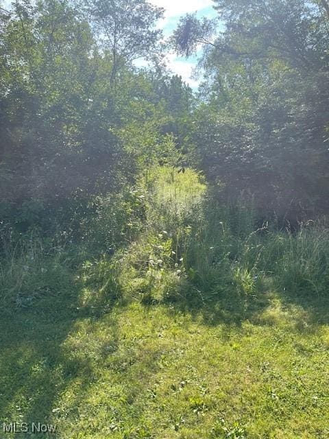 Brecksville Rd, Independence, OH 44131 - photo 4