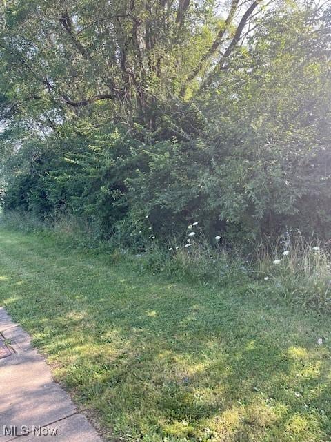 Brecksville Rd, Independence, OH 44131 - photo 1