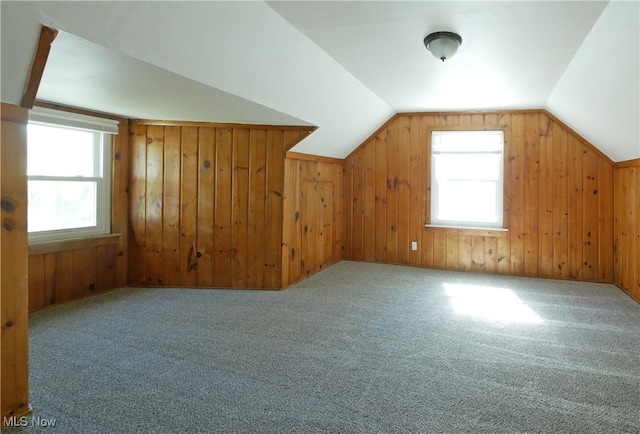 27031 Shirley Ave, Euclid, OH 44132 - photo 14