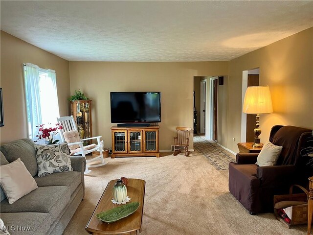 1368 Andora Rd NE, Carrollton, OH 44615 - photo 10