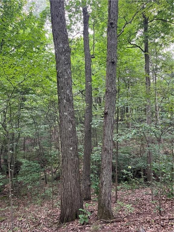 1368 Andora Rd NE, Carrollton, OH 44615 - photo 42
