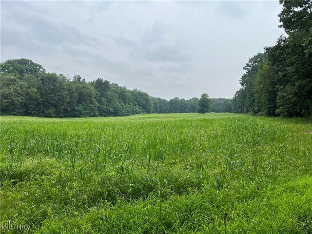 1368 Andora Rd NE, Carrollton, OH 44615 - photo 33