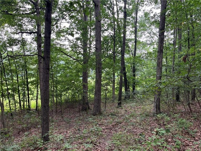 1368 Andora Rd NE, Carrollton, OH 44615 - photo 37