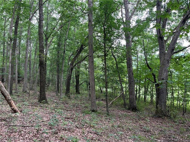 1368 Andora Rd NE, Carrollton, OH 44615 - photo 38