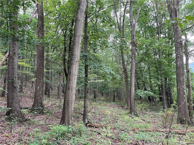 1368 Andora Rd NE, Carrollton, OH 44615 - photo 39