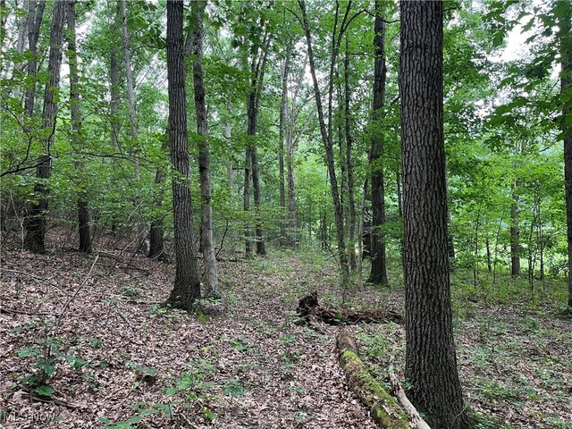 1368 Andora Rd NE, Carrollton, OH 44615 - photo 40