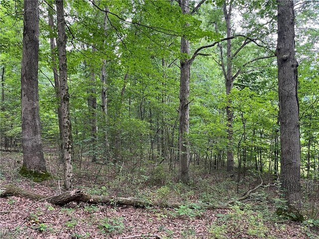 1368 Andora Rd NE, Carrollton, OH 44615 - photo 41