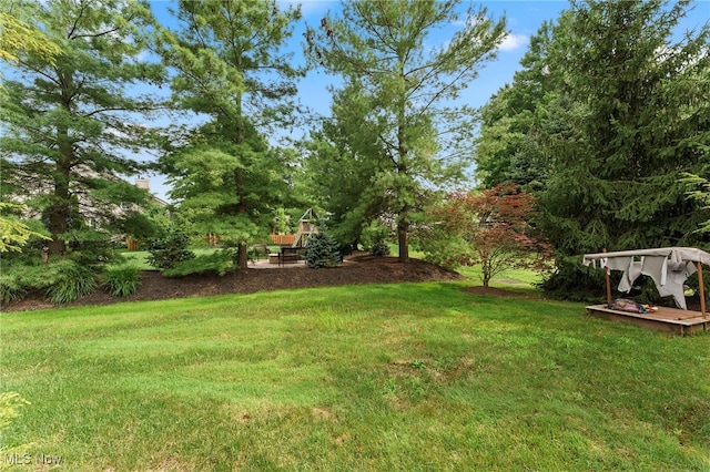 2916 Alling Dr, Twinsburg, OH 44087 - photo 46