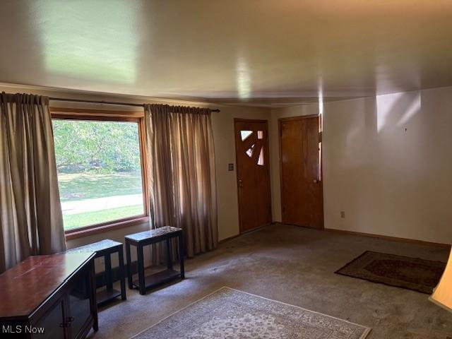 4908 2nd St NW, Canton, OH 44708 - photo 17
