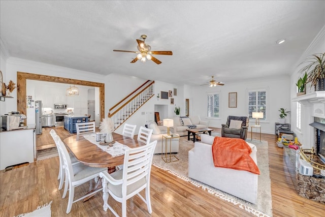 dining room featuring light wood-type flooring, a textured ceiling, and ceiling fan