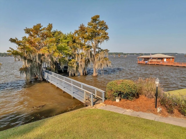 dock area with a water view