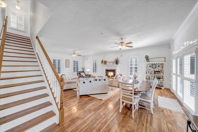 dining space with ceiling fan, a textured ceiling, crown molding, and light wood-type flooring