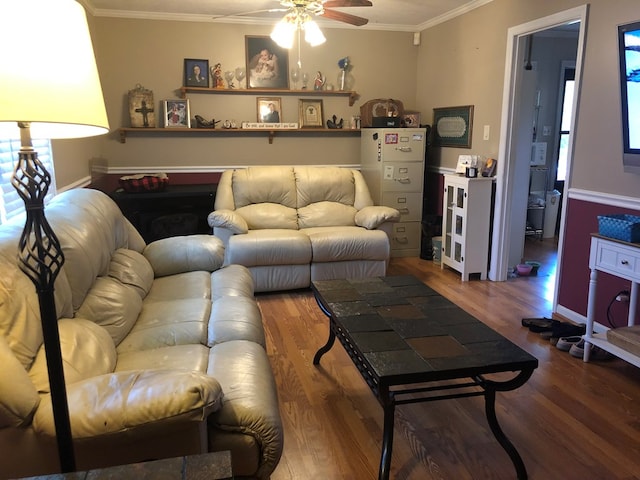 2814 Reeves Ln, Albany, GA 31721 - living area featuring wood finished floors, crown molding, ceiling fan, and plenty of natural light
