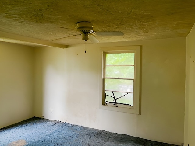 unfurnished room featuring ceiling fan and carpet floors