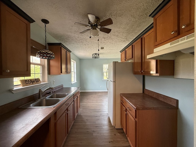 kitchen with under cabinet range hood, dark wood-type flooring, a sink, dark countertops, and decorative light fixtures