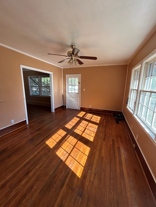 interior space with dark wood-type flooring, crown molding, and a textured ceiling