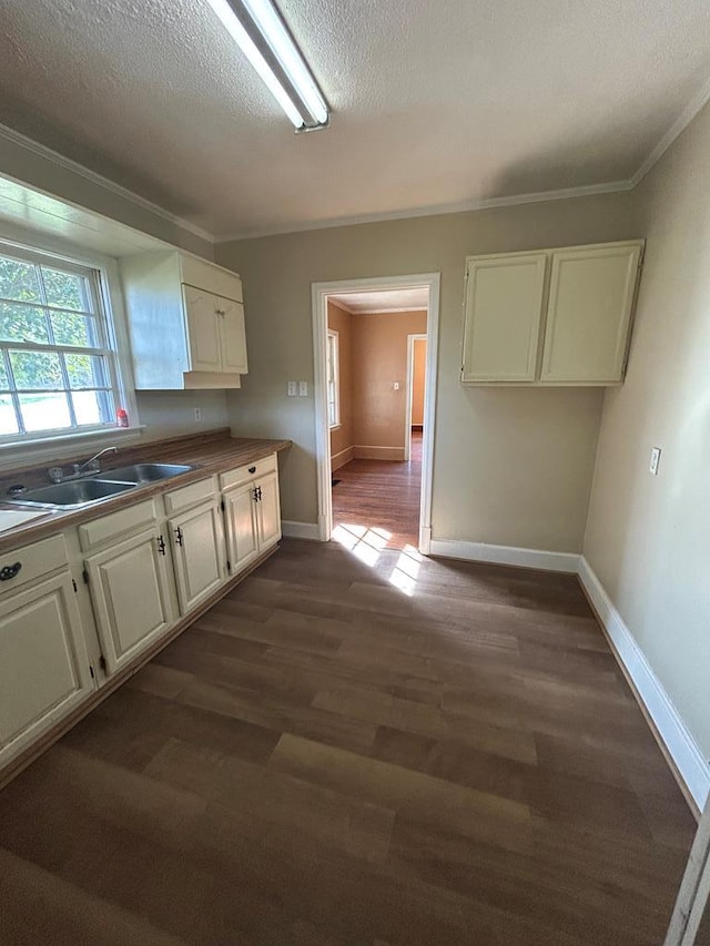 kitchen featuring dark hardwood / wood-style flooring, sink, crown molding, and a textured ceiling