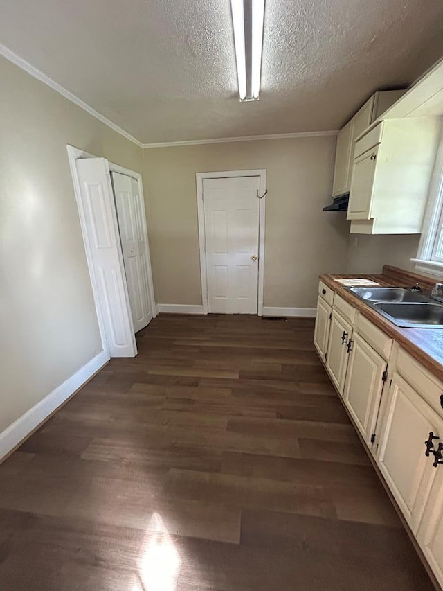 kitchen with crown molding, dark wood-type flooring, a textured ceiling, and sink