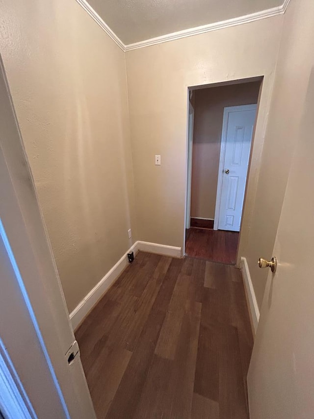 clothes washing area featuring dark wood-type flooring and crown molding