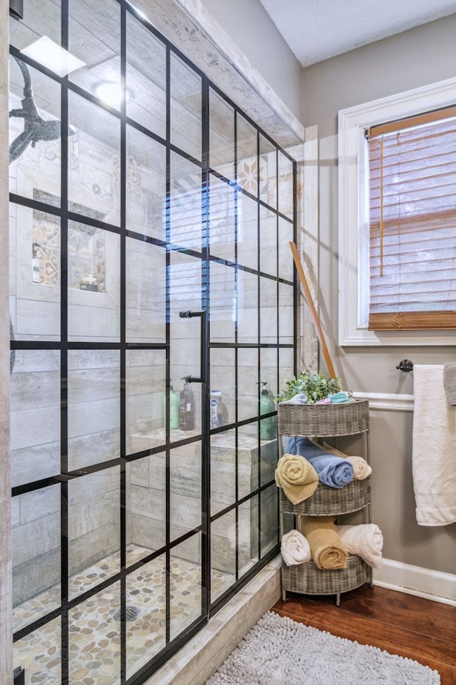 bathroom featuring hardwood / wood-style floors