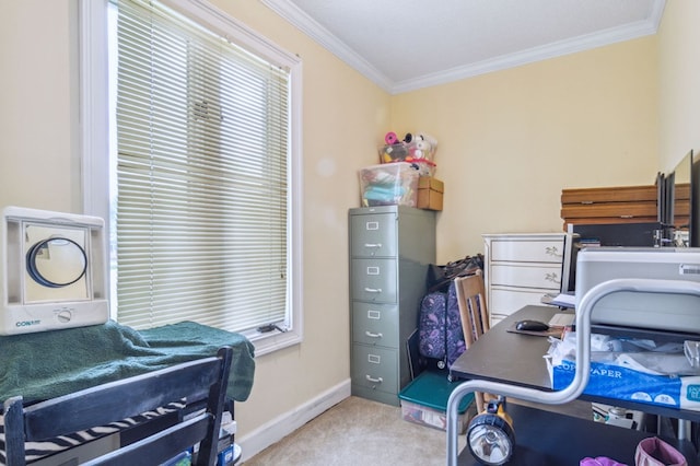 office space featuring crown molding and light colored carpet