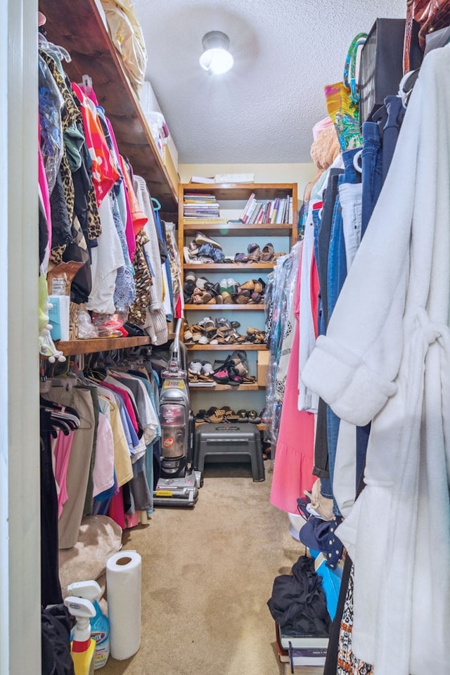 spacious closet featuring carpet