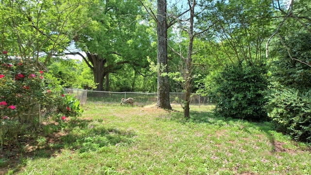 272 Ellis Rd, Plains, GA 31780 - view of yard with a fenced backyard