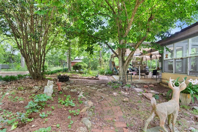 272 Ellis Rd, Plains, GA 31780 - view of yard with a sunroom and a patio area