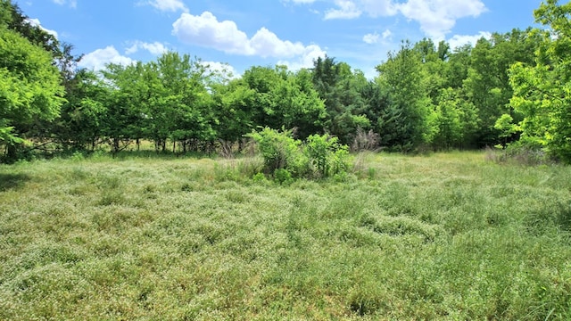 272 Ellis Rd, Plains, GA 31780 - view of nature with a forest view