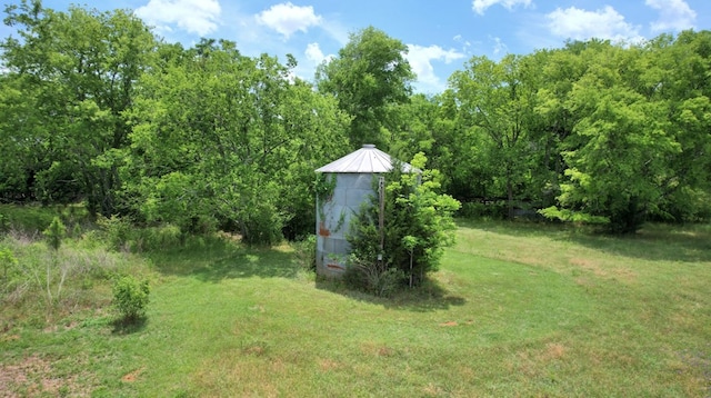 272 Ellis Rd, Plains, GA 31780 - view of yard featuring a wooded view