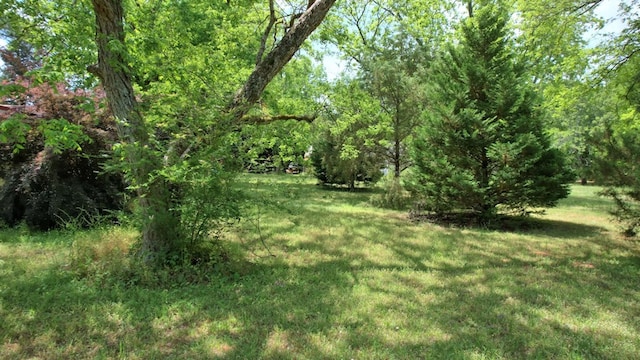 272 Ellis Rd, Plains, GA 31780 - view of yard with a forest view