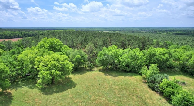 272 Ellis Rd, Plains, GA 31780 - bird's eye view with a forest view