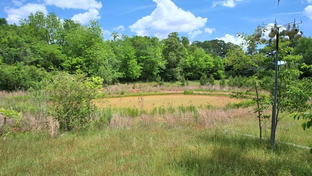 272 Ellis Rd, Plains, GA 31780 - view of local wilderness with a wooded view