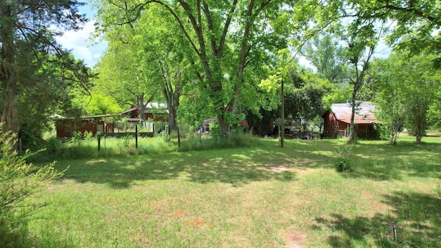 272 Ellis Rd, Plains, GA 31780 - view of yard