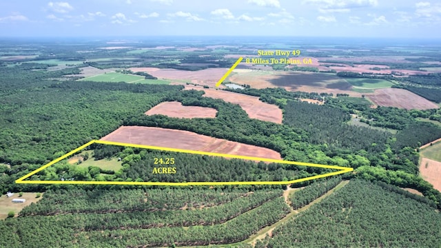 272 Ellis Rd, Plains, GA 31780 - drone / aerial view with a rural view