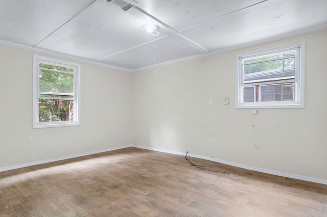 272 Ellis Rd, Plains, GA 31780 - spare room with baseboards, ornamental molding, a healthy amount of sunlight, and wood finished floors