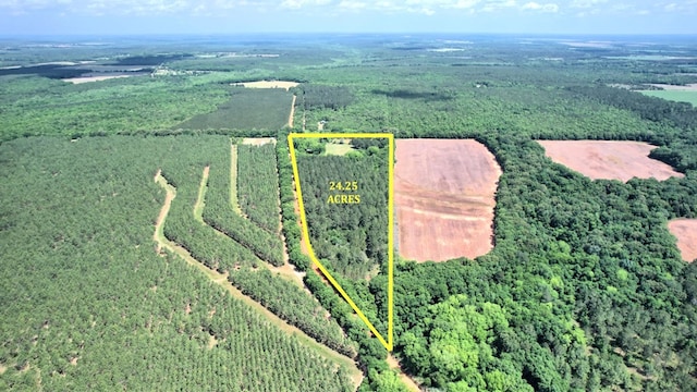 272 Ellis Rd, Plains, GA 31780 - drone / aerial view featuring a wooded view