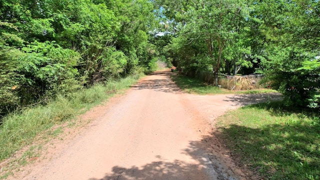 272 Ellis Rd, Plains, GA 31780 - view of road