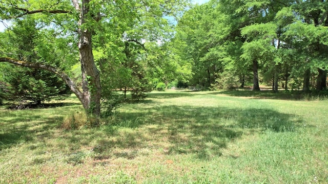 272 Ellis Rd, Plains, GA 31780 - view of yard