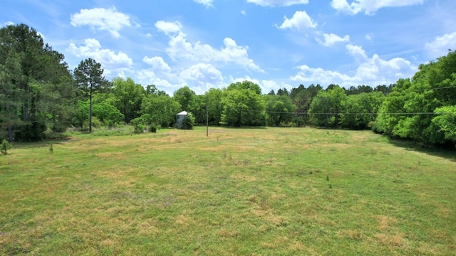 272 Ellis Rd, Plains, GA 31780 - view of yard with a view of trees