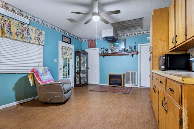 272 Ellis Rd, Plains, GA 31780 - living area with ceiling fan, visible vents, baseboards, light wood finished floors, and a glass covered fireplace