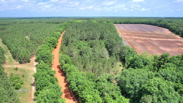 272 Ellis Rd, Plains, GA 31780 - birds eye view of property with a view of trees