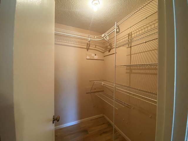 spacious closet with hardwood / wood-style floors