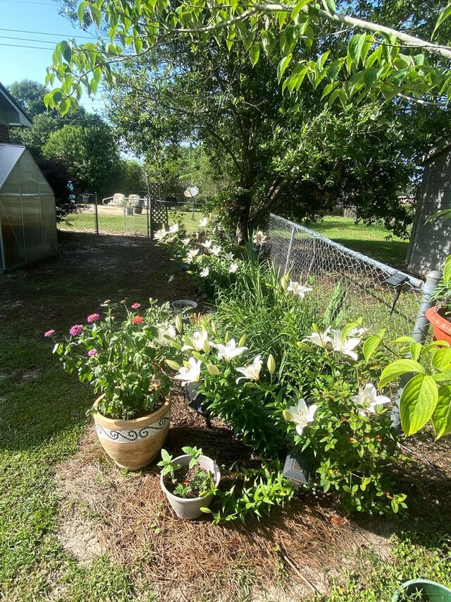 615 E 28th Ave, Cordele, GA 31015 - view of yard with fence, a greenhouse, and an outbuilding